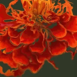 Orange on the Green