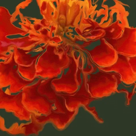 Orange on the Green