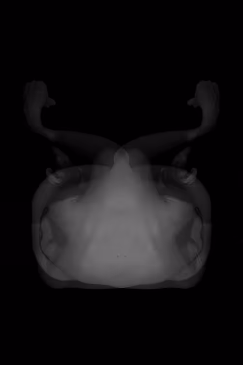 Item #24078694119739597483179371173892664508581681499738610979766924185065148645377 Media