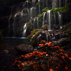 nature never goes out of style #11