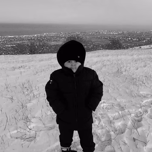 Untitled Collection #119338858