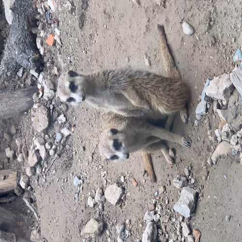 Untitled Collection #76855106