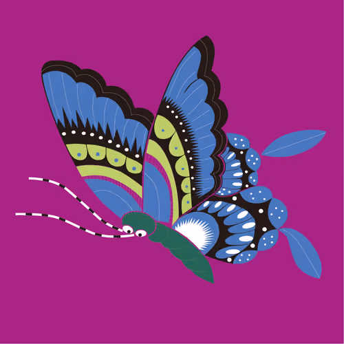 pretty butterfly