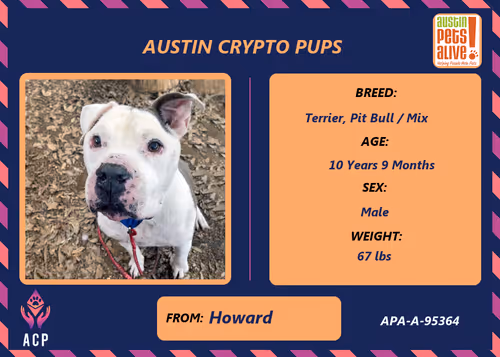 Item #17951378556605612276483806045649535824451571419947225201384628496358338199553 Media