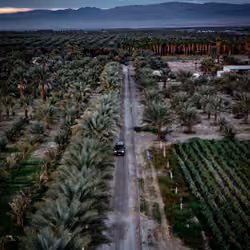 Admiration road