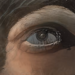 EYE #003