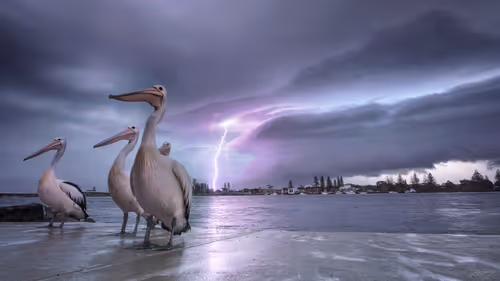 Item #5616953568499340907775711825497604278044637464082209410752742941815019143169 Media