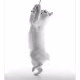 Photo-Neko Collection