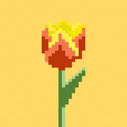 Tulip ver.2