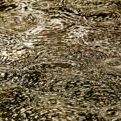 Item #110563264937173630415102547684714144673786021135482478862181301894410231873537 Media