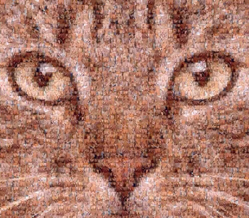 Item #1677611728929570598232182670347594100585205631354763756549059795802432475039 Media