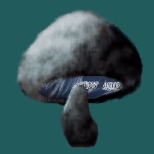 Item #46034849265832991985054005845495595569977159826723230396281256126416980803585 Media