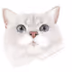 Loie. D