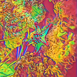 AINFTCreator Colors #00331