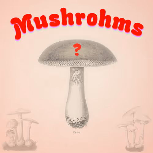 MUSHROHMS #456