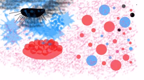 Item #27351542864513164794326374510732801896318468717418541152887641298049045626881 Media