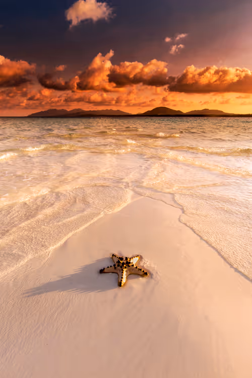 Item #36145711573070876336967674922016641828802018679018125743381848440222324359169 Media