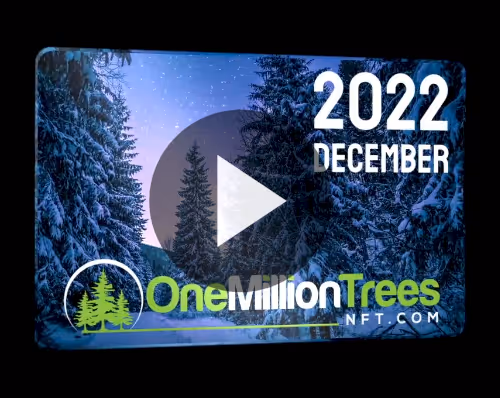 Item #25801989892845548526565125197399663131241948966790422528009354887594770432010 Media