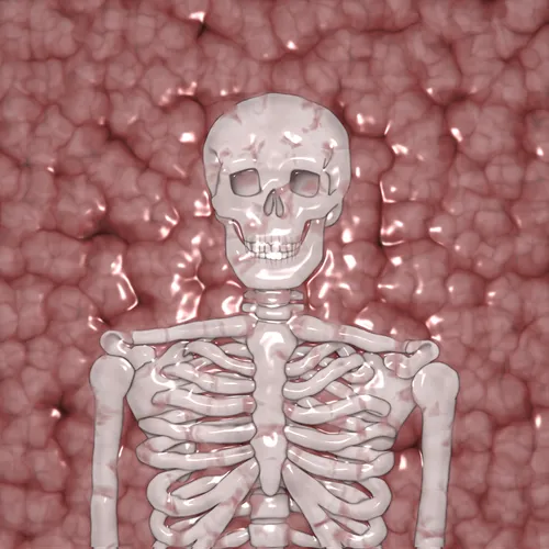 Item #204202656455844469168548482701852941170351354666268361077763306213982863361 Media