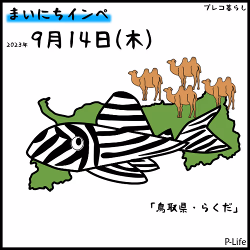 Item #81664083123670143983968740139941474364733981378414170565535213056251786166273 Media