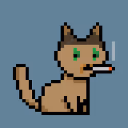 12830345331175526280463936575724208108263643015557233882150701239855193522177