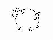 First born 1000 kgs chicken