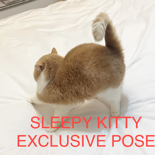 Sleepy Kitty Social Club