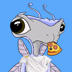 89536501044981580421954964775308188266516973450169695978544663274840580423681