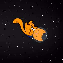Space Cat #3