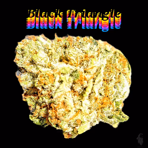 Item #87689570283297516471900235800511228078692535605346005540316604159815963377665 Media