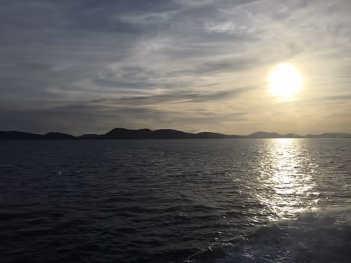 Item #40129036347338487732493830186327944618305484146391989675731997378719336366280 Media