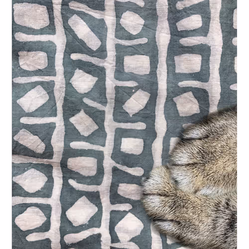 Ithinkyoushouldpaws