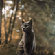 Wild Cats of the Midwest