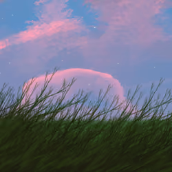 Serengeti Nights