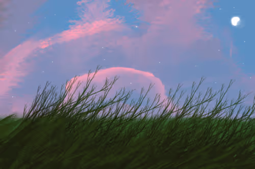 Item #83201474306967123093872094973450030367343354318646489432205266945900372033537 Media