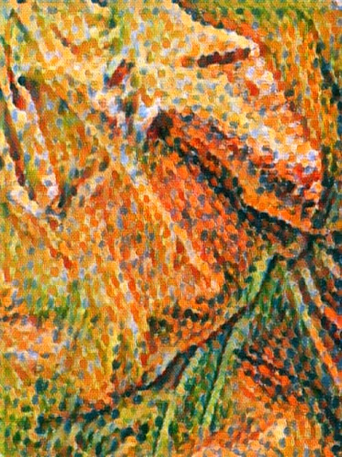 Item #13022119106637872780639257412886020365194917216961513586810508307207206993921 Media