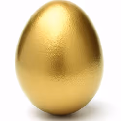 24kt Golden Egg