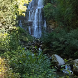 Hedgehog Waterfall #1