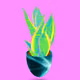11288778873184806192347713135295249425425489656622773339960825634644272611329