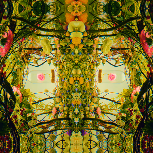 54411499690937640101772425138653578544162397958311670010148906857682075385857