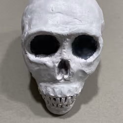 Not a Skull