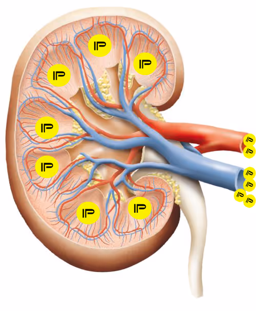 Item #56380266639115228577874469452173219457941053229478542541896040277642202579002 Media