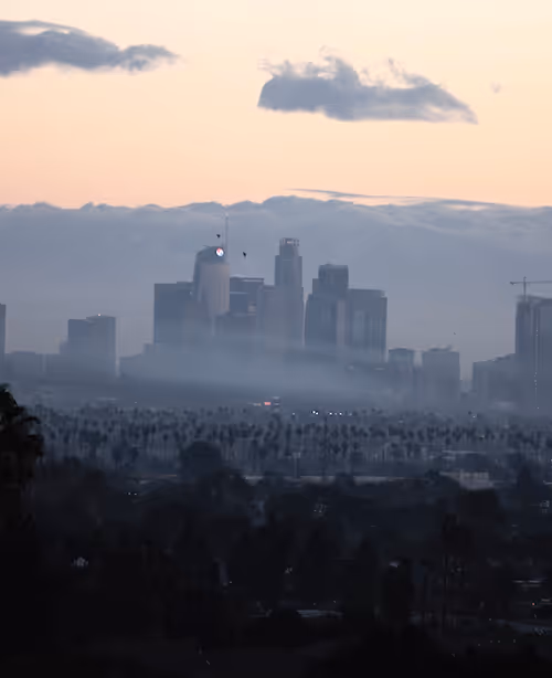 Item #182518665829308893136074239767788672486362925866200732254418973696821559336 Media