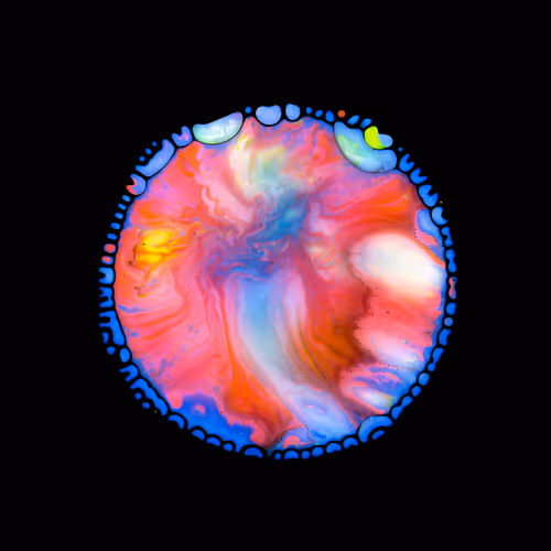 Item #39853347361311550538823328626004824816221754573894422864413753484721784881153 Media