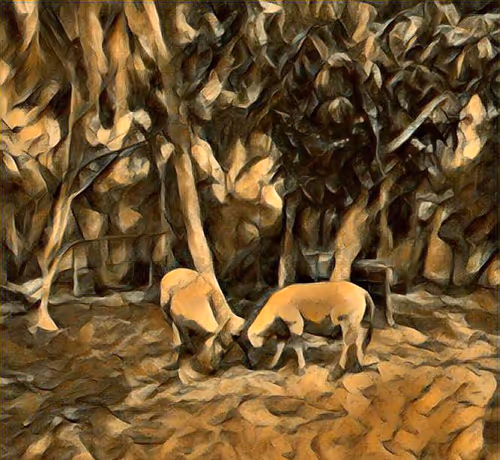 Item #81269833061274051173789884418282317830923519221172308843662164443887677997057 Media