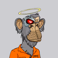 61711868753073721077003651849237961867593371442335358021915184192533817196545