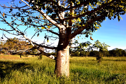 Item #79891436161549541429884862344900251113171213125295126698961100630670545256449 Media