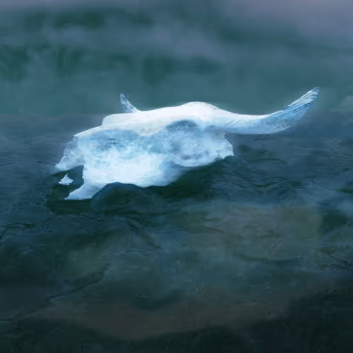 Item #103761326235068046292888504298151062965176237579096159723351116809757414916097 Media