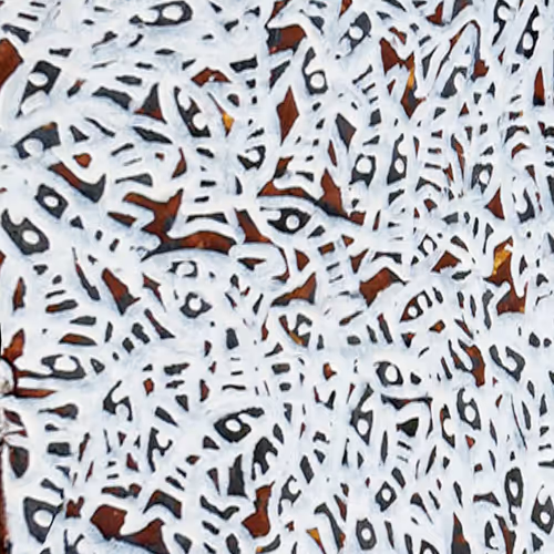 Item #6135615210838207181460231726623395431657623942646172617288677118598054936577 Media