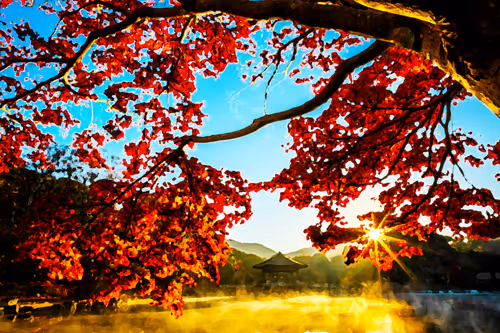 Item #21640367912713300631069534745988195510774607378700131721916317500238075002881 Media